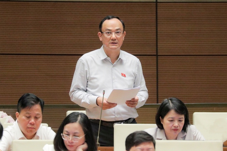 Đại biểu Nguyễn Ngọc Sơn (TP. Hải Phòng) nêu ý kiến tại hội trường - Ảnh: chinhphu.vn