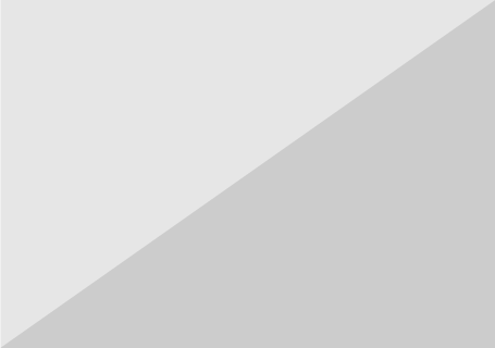 Graphic Designer